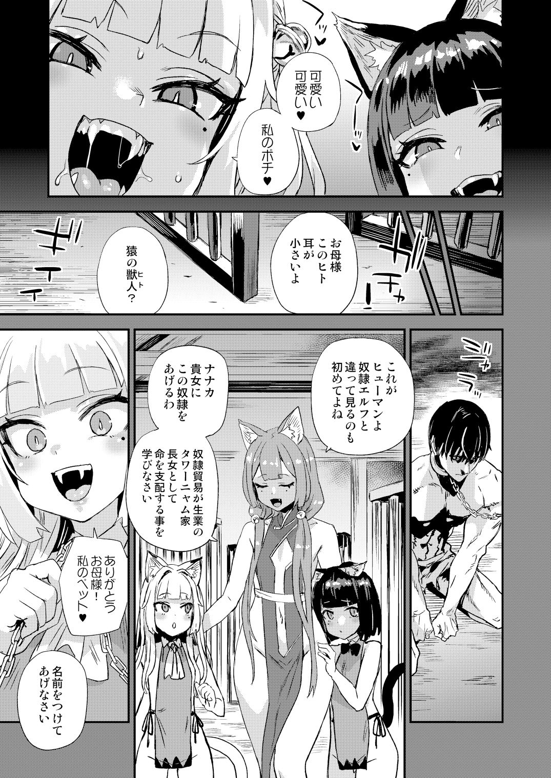 猫族娘はヒトを飼う。 画像3