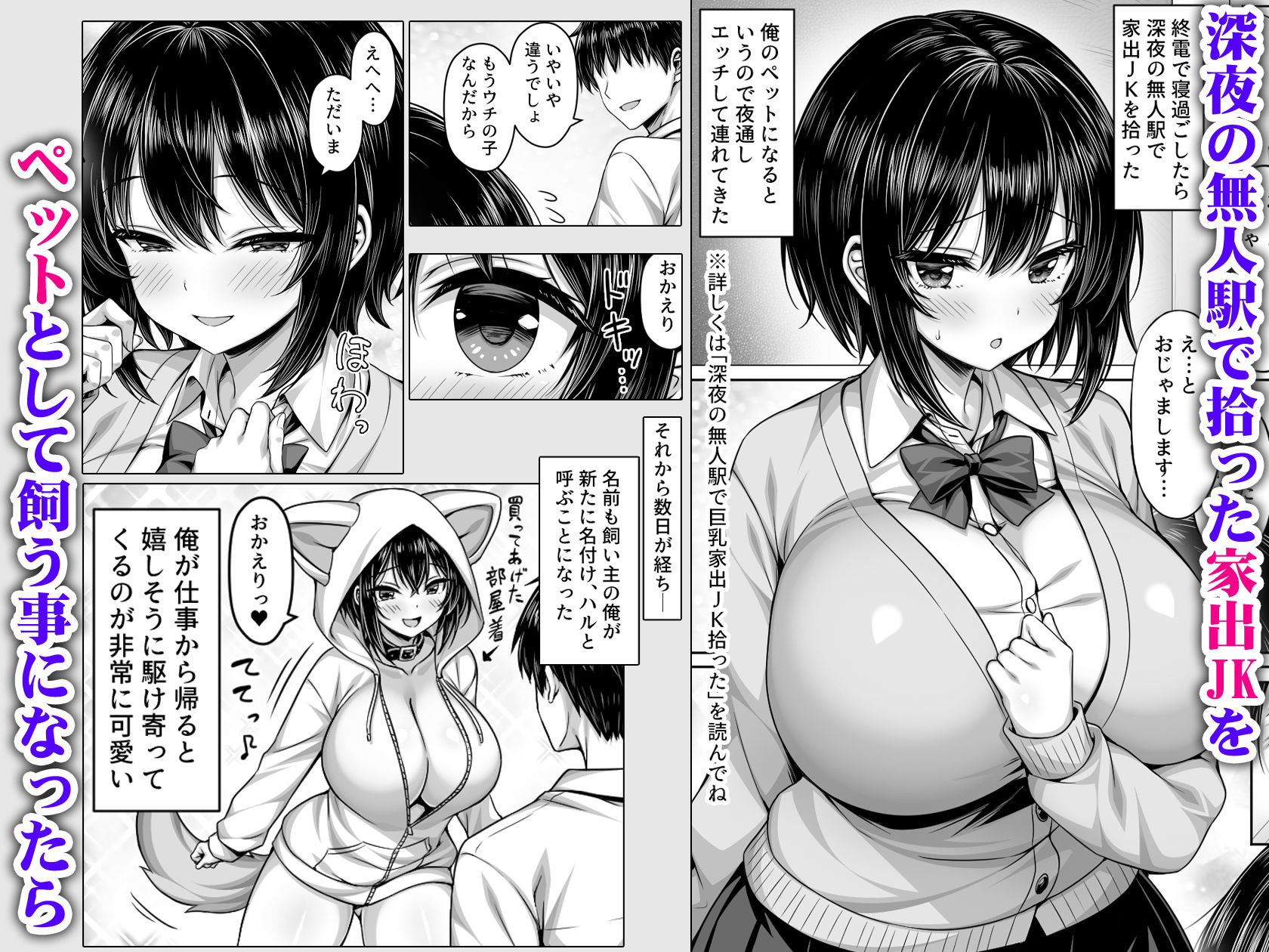 深夜の無人駅で拾った巨乳家出JKの飼い主の日常 画像1