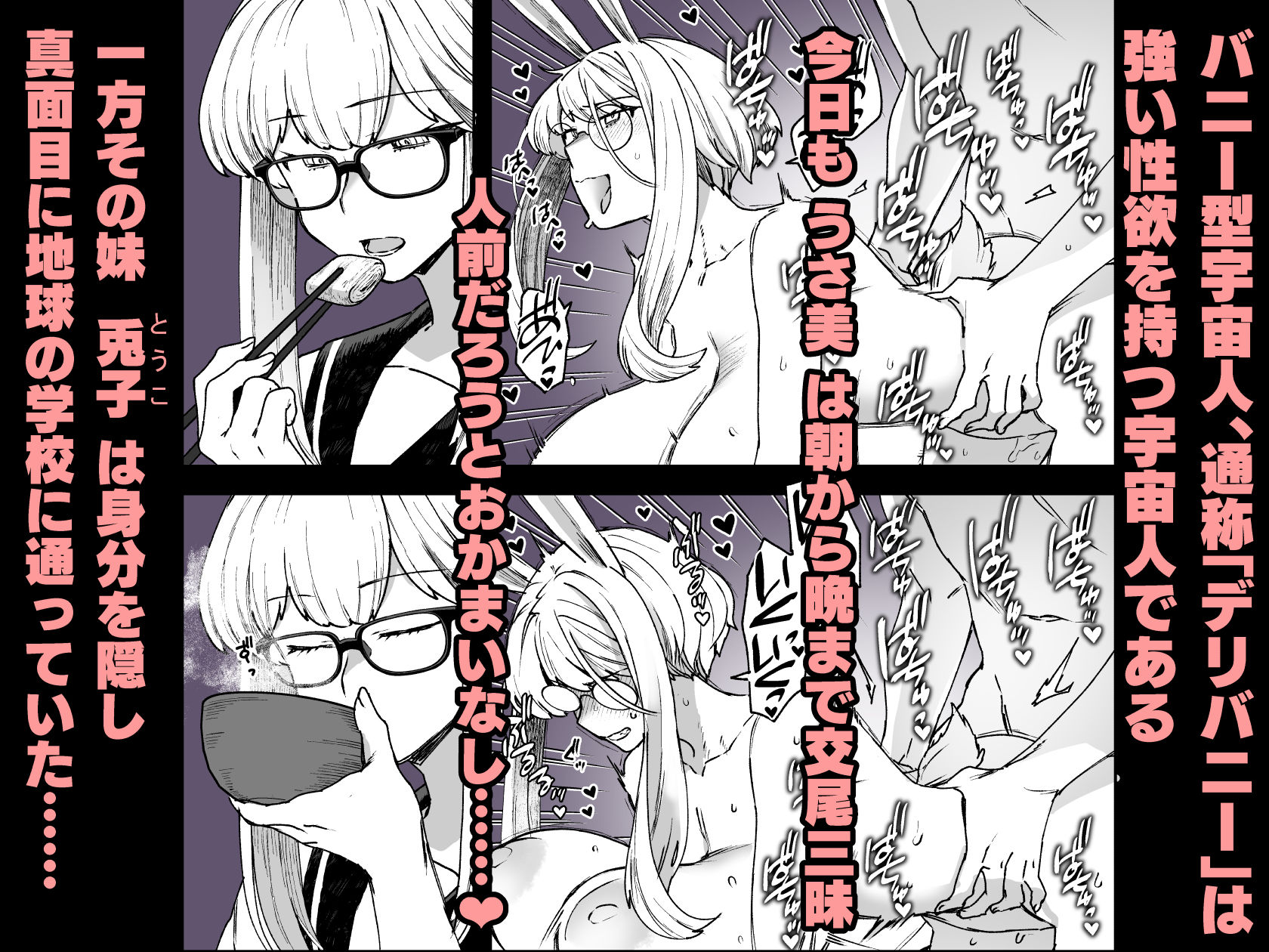 Delibunny vol.3 画像1